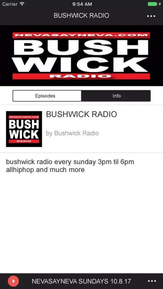 Zrzuty ekranu BUSHWICK RADIO