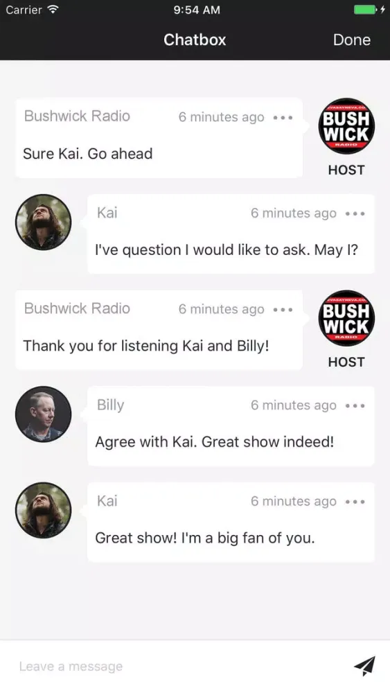 Zrzuty ekranu BUSHWICK RADIO
