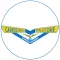 Carrozzeria Pastore - 4.0