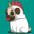 Nice Dogs