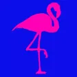 Trendy Flamingo Trendy Flamingo