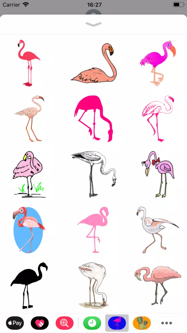 تصاویر Trendy Flamingo