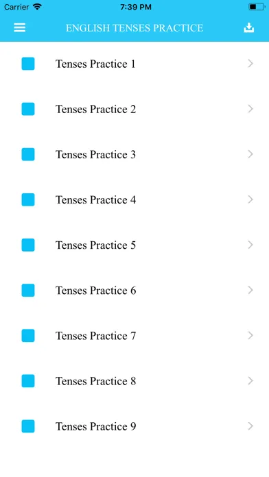 English Tenses Practice 스크린샷