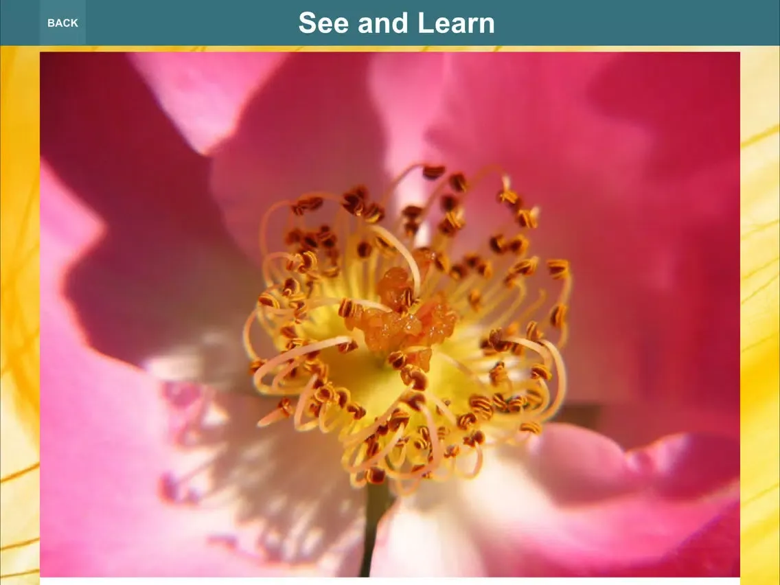 Скриншоты Advanced Plants HD iPad 