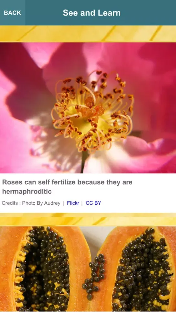 Скриншоты Advanced Plants HD