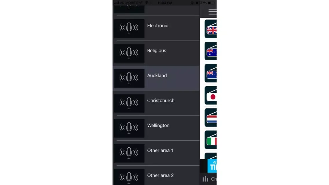 صور Newzealand Radio station