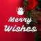 We Wish You a Merry Christmas