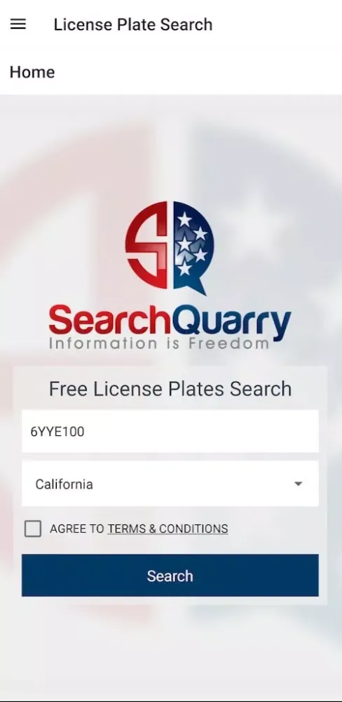 Tangkapan layar License Plate Lookup