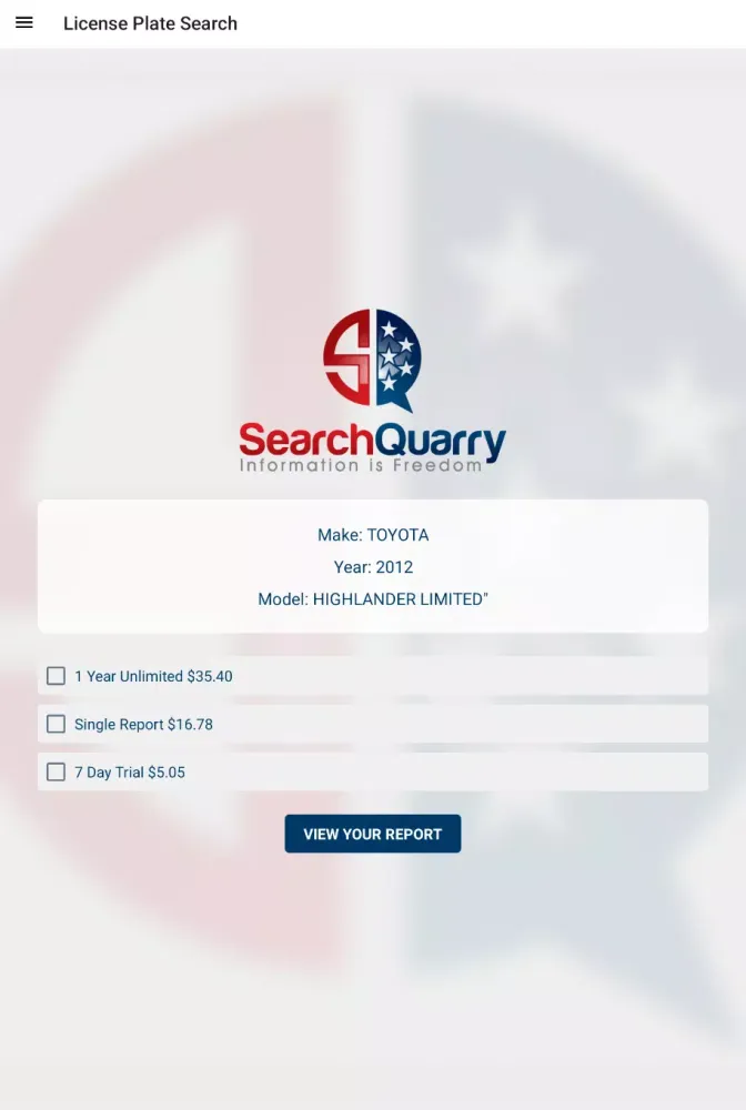 Tangkapan layar License Plate Lookup