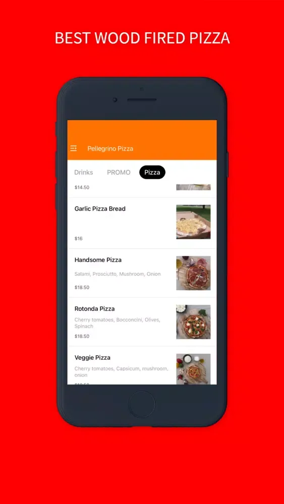 تصاویر Pellegrino Pizza