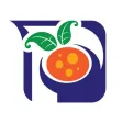Pipli's Indian Curries