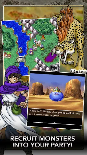 DRAGON QUEST V Screenshots