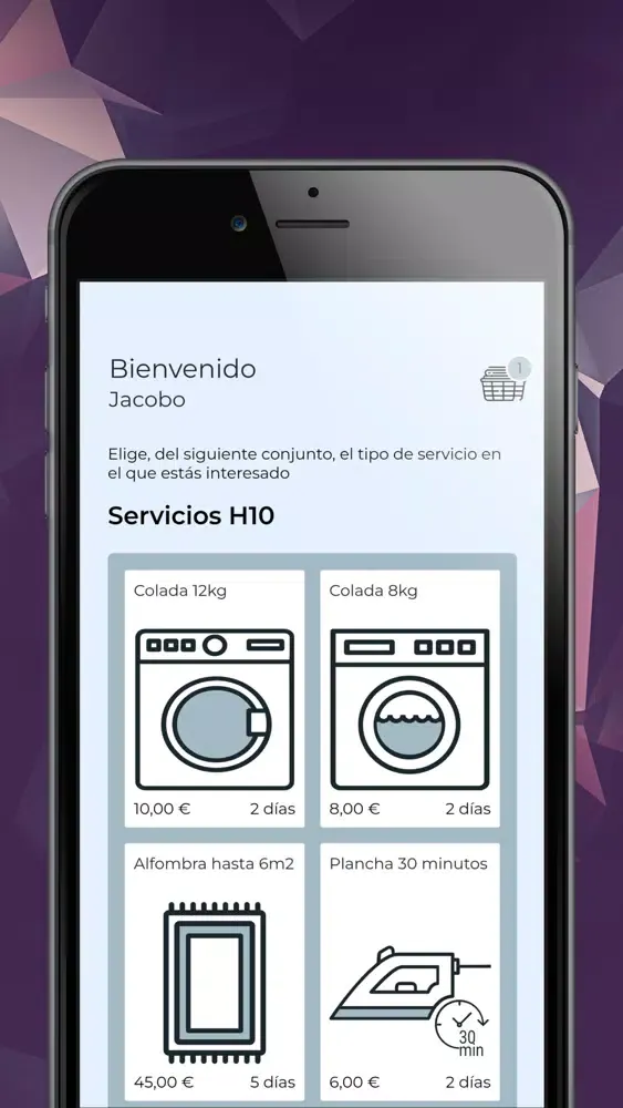 H10 Lavandería应用截图