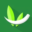 Weeder Grass