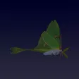 Forest Flutter Forest Flutter
