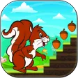 Squirrel Run