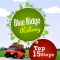 Blue Ridge Parkway Best Stops