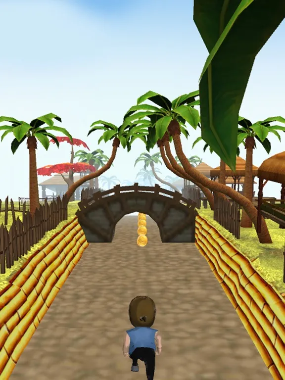 تصاویر Ninja Run 3D Free iPad 