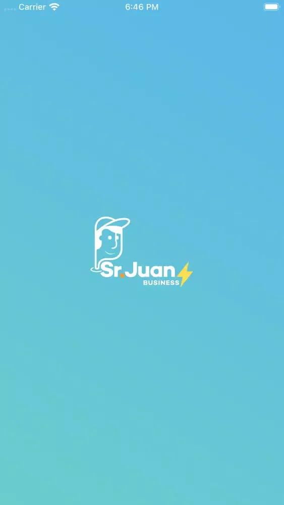 Sr Juan Business Screenshots