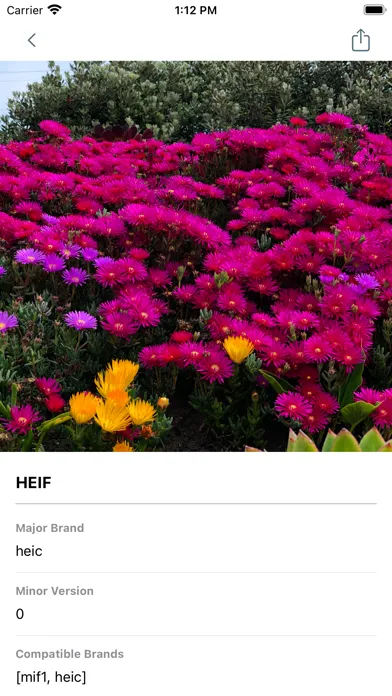 Simple Exif Viewer Screenshots