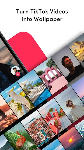 TikTok Live Wallpaper应用截图