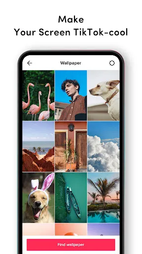 TikTok Live Wallpaper应用截图