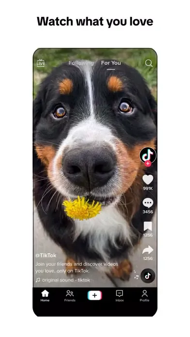 TikTok-Global Video Community 스크린샷