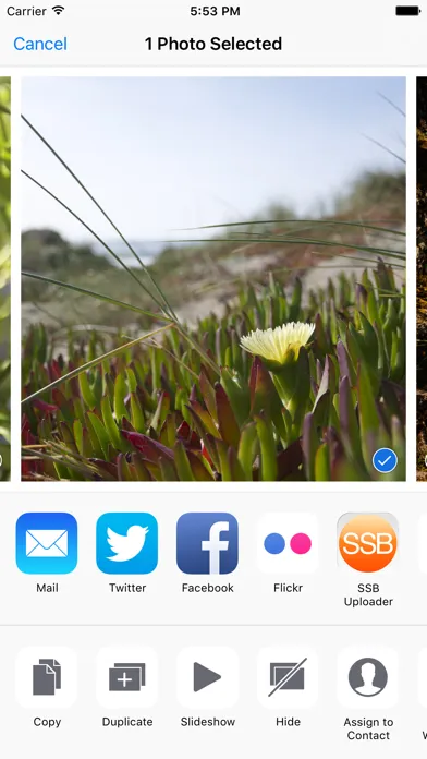 ภาพหน้าจอของ SSB Uploader