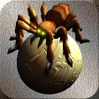 Spider io- ace warrior