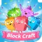 Block Craft 3D
