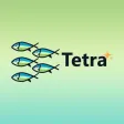 Tetra Teams