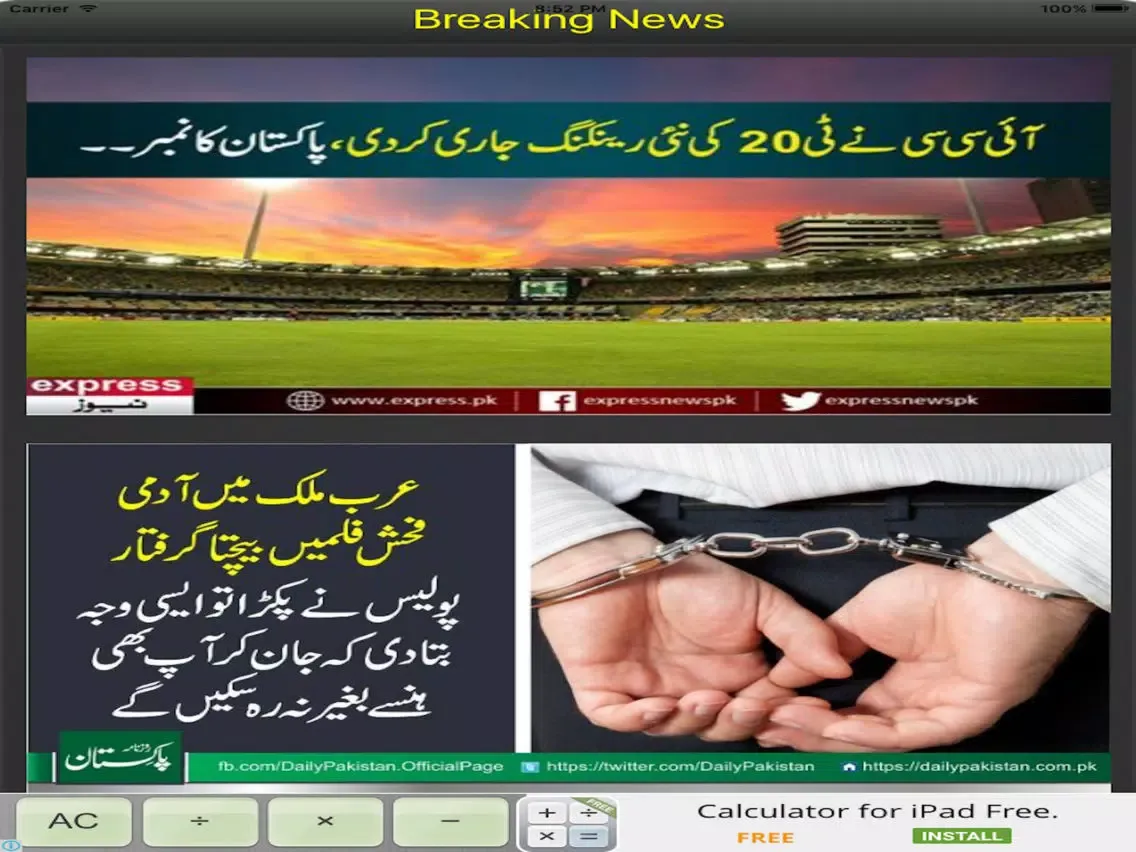 Скриншоты Dynamic News iPad 