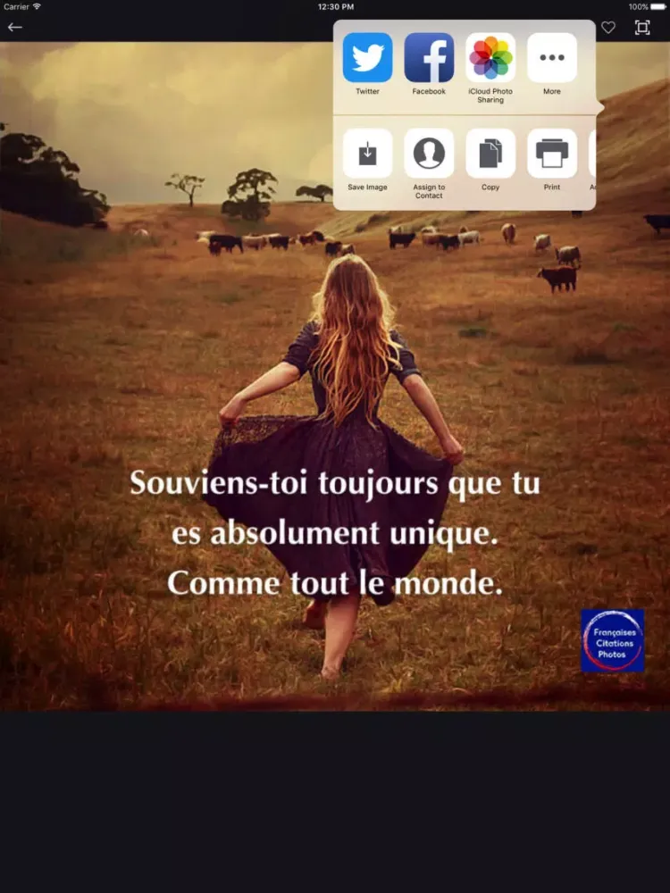 Скриншоты French Quotes Photos iPad 