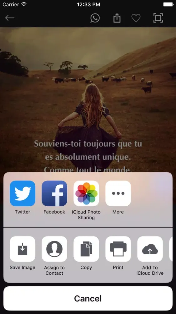 Скриншоты French Quotes Photos