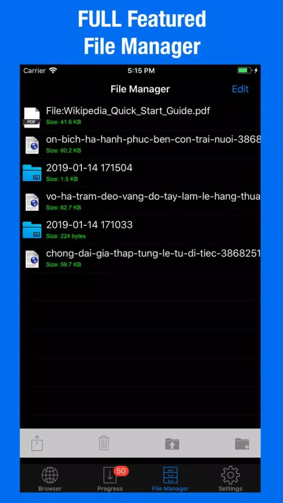 Tangkapan layar Offline Files - File Manager