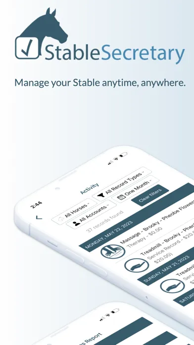 Tangkapan layar Stable Secretary