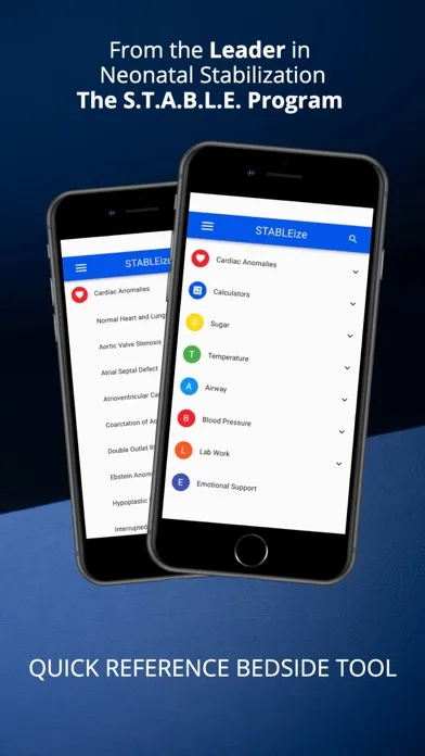 Screenshot di STABLEize - The STABLE Program