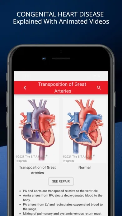 Screenshot di STABLEize - The STABLE Program