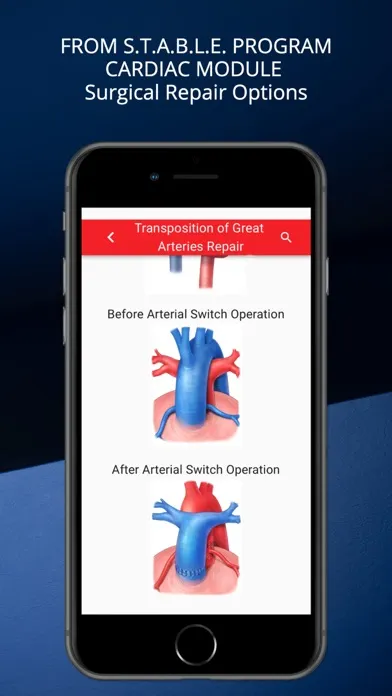 Screenshot di STABLEize - The STABLE Program