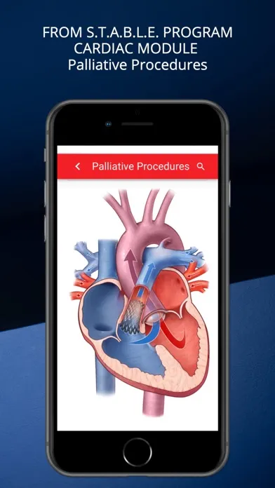 Screenshot di STABLEize - The STABLE Program