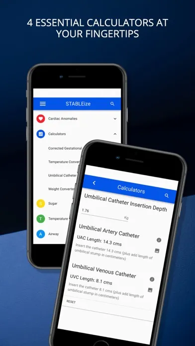 Screenshot di STABLEize - The STABLE Program