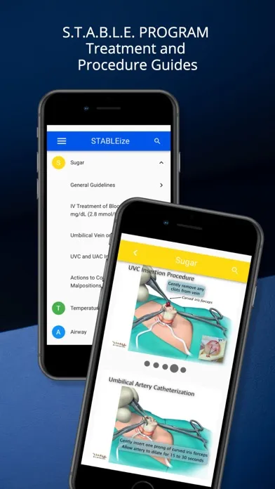 Screenshot di STABLEize - The STABLE Program