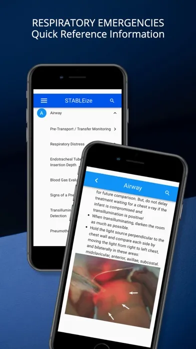 Screenshot di STABLEize - The STABLE Program