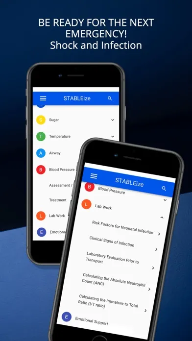 Screenshot di STABLEize - The STABLE Program