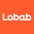 Lobab: Book Summaries, Library