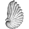 Argo
