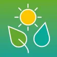 Standard Process® Purification Standard Process® Purification