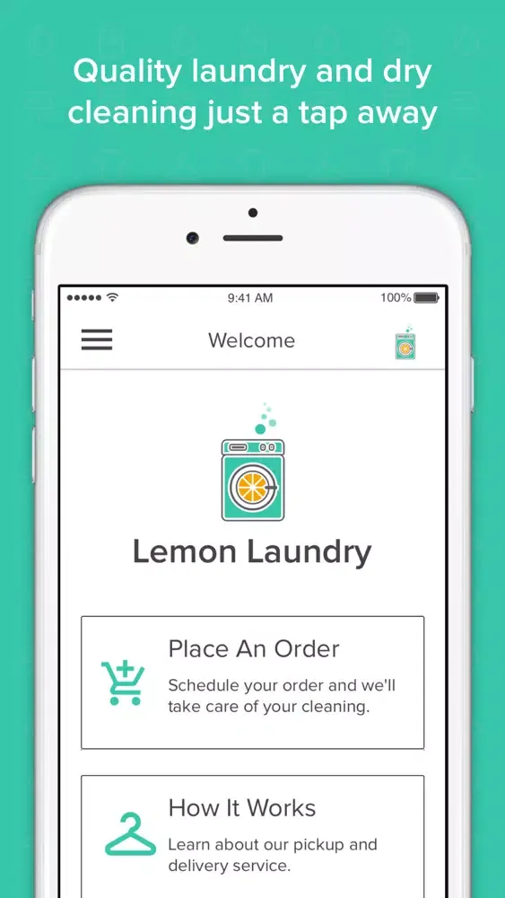 Capturas de pantalla de Lemon Laundry