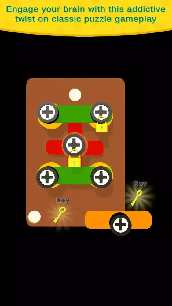 Zrzuty ekranu Screw Pin Board Puzzle Game