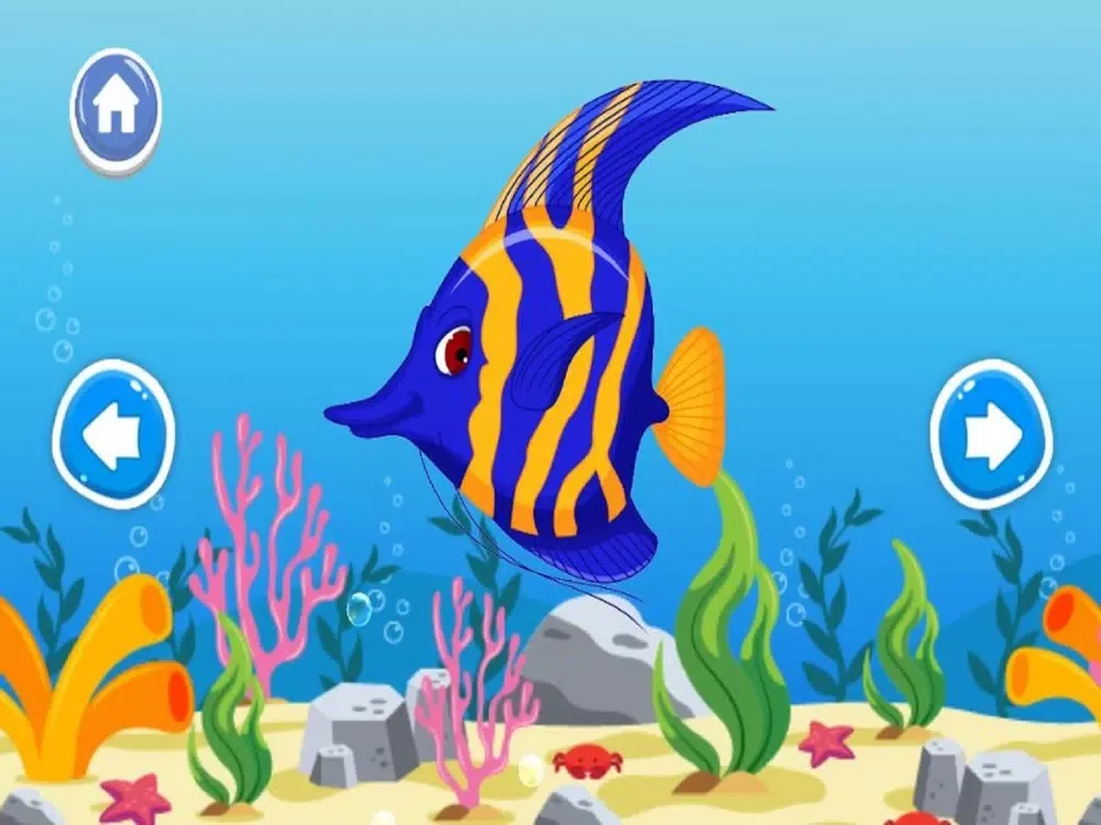 تصاویر A to Z Aquatic Animals iPad 
